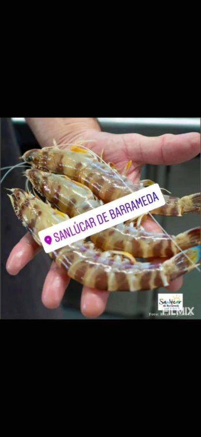 Piso De Dos Dormitorios En El Centro De Sanlúcar de Barrameda Exterior foto